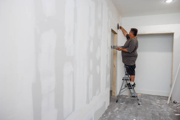 Best Mold Documentation for Insurance Claims  in , WV
