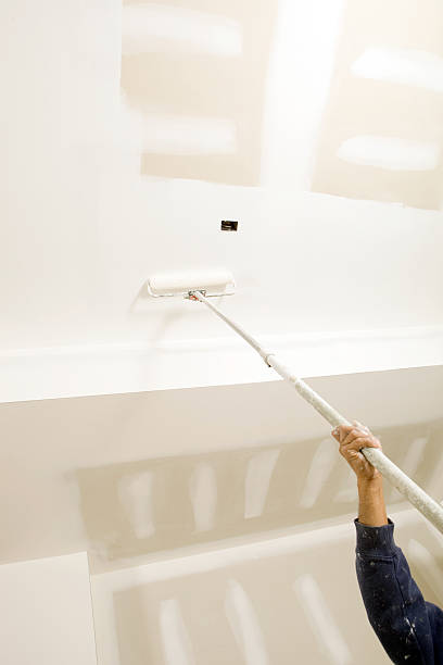 Best Post-Construction Mold Inspection  in , WV