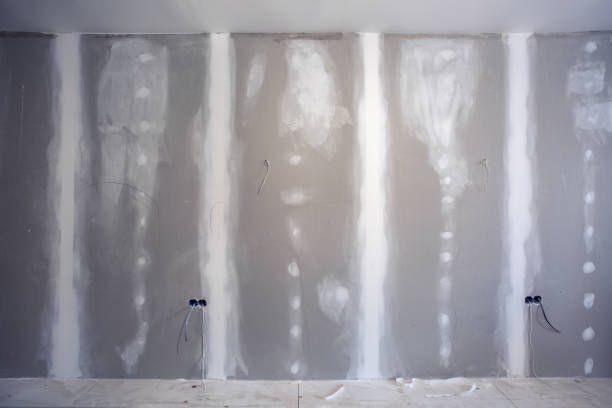 Best Mold-Related Health Consultation  in , WV